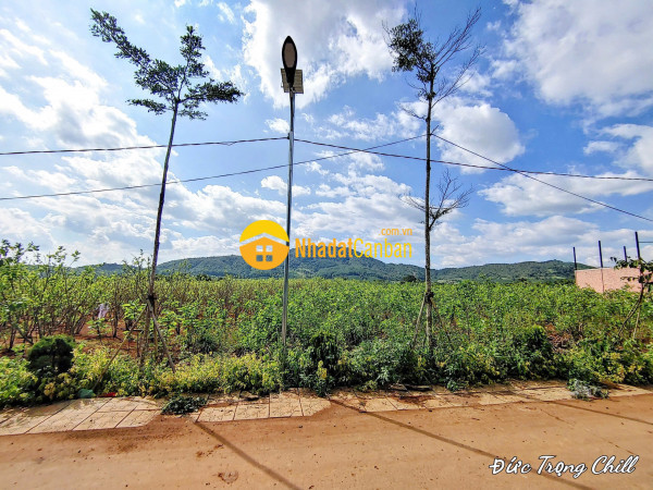 Cần bán đất nền khu cư xá liên hiệp đức trọng lâm đồng chỉ 1.3 tỷ tl