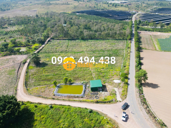 Bán đất thổ cư 14.000m2 gần kdl thác pongour xã ninh gia,lâm đồng,giá 13 tỷ