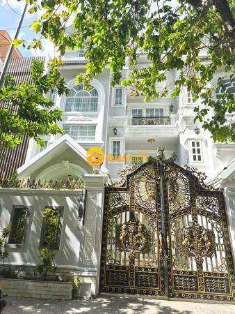 Hot biệt thự cổ điển 8x19m 3 lầu áp mái khu biệt thự tấn trường q7