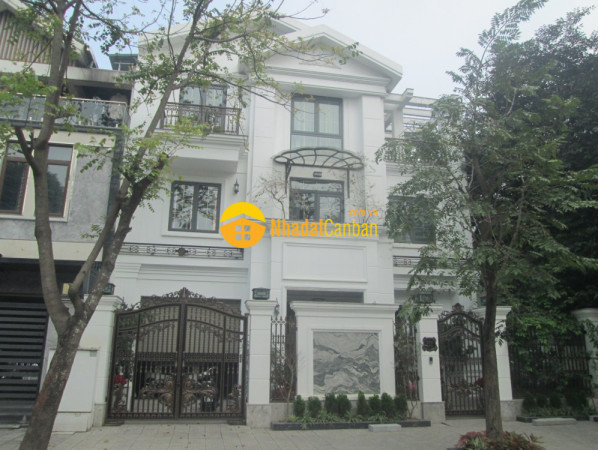 Thua bóng bán gấp biệt thự bt5 bt6 kđt việt hưng view công viên 200m2 chỉ 30.68 tỷ. 0989.62.6116