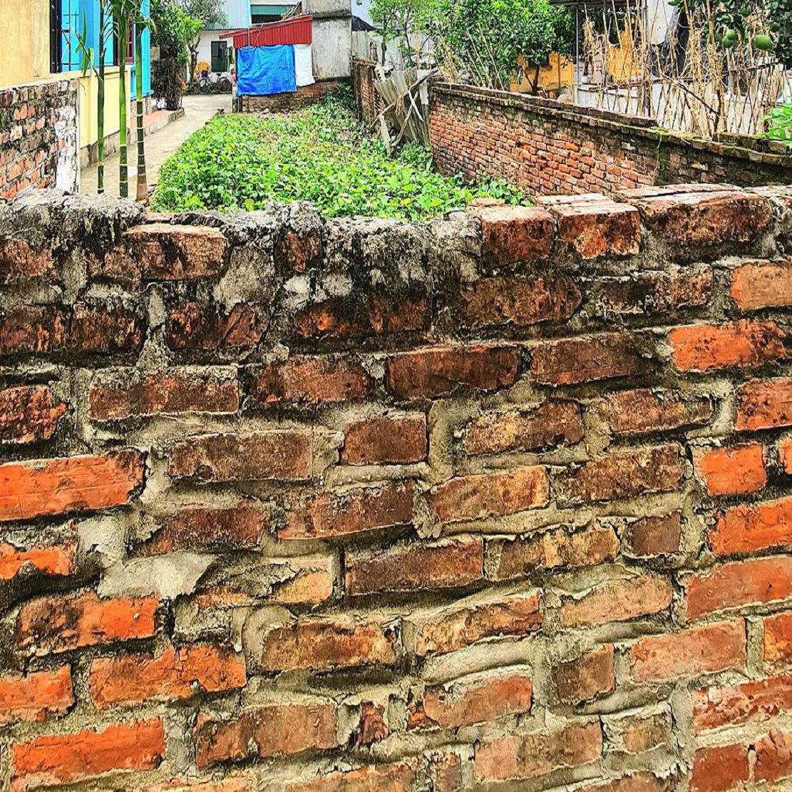 Bán đất 45m2 Trâu Quỳ, Gia Lâm, Hà Nội đường ô tô 16 chỗ